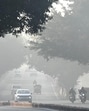 The BJP government in Delhi has made a  <span class='webrupee'>₹</span>506 crore provision for the environment and forest departments, of which  <span class='webrupee'>₹</span>422 crore has been allocated for various schemes, projects and programmes. (Arvind Yadav/HT Photo (File))