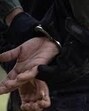 The accused was arrested near Ramgarh in Panchkula. (HT File) The accused was arrested near Ramgarh in Panchkula. (HT File)