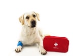 Keep a fully stocked first aid box at home.