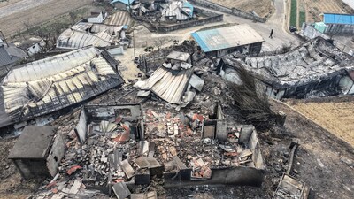 With an area scorched of over 43,300 acres, the fires rank among the biggest wildfires in South Korea. In pic: A person walks past houses destroyed by wildfires in a village in Yeongyang, South Korea. (AP) With an area scorched of over 43,300 acres, the fires rank among the biggest wildfires in South Korea. In pic: A person walks past houses destroyed by wildfires in a village in Yeongyang, South Korea. (AP)