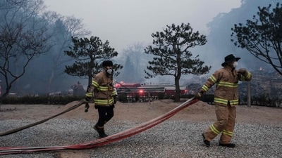 Devastating flames in South Korea have displaced over 27,000 people and claimed at least 24 lives. More than 200 buildings, including a historic temple, have been damaged by the fires. In pic: Firefighters work after most of the buildings were burned to the ground in a wildfire at Gounsa Temple in Uiseong on March 26, 2025. (AFP) Devastating flames in South Korea have displaced over 27,000 people and claimed at least 24 lives. More than 200 buildings, including a historic temple, have been damaged by the fires. In pic: Firefighters work after most of the buildings were burned to the ground in a wildfire at Gounsa Temple in Uiseong on March 26, 2025. (AFP)