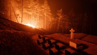 At least 26 people have sustained injuries of varying severity, while thousands remain displaced as emergency crews struggle to contain the fires. In pic: A wildfire is seen next to a family tomb in Andong on March 26, 2025. (AFP) At least 26 people have sustained injuries of varying severity, while thousands remain displaced as emergency crews struggle to contain the fires. In pic: A wildfire is seen next to a family tomb in Andong on March 26, 2025. (AFP)