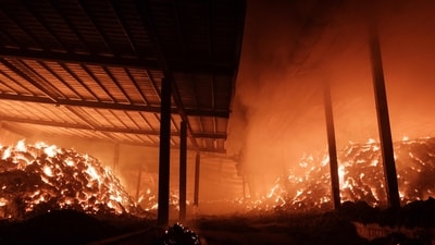 With the help of 130 helicopters and 4,600 firemen, troops, and emergency personnel, the fires grew more intense overnight, forcing teams to briefly halt operations. In pic: A cattle feed manufacturing plant continues to burn after a wildfire spread to it in Andong on March 26, 2025. (AFP) With the help of 130 helicopters and 4,600 firemen, troops, and emergency personnel, the fires grew more intense overnight, forcing teams to briefly halt operations. In pic: A cattle feed manufacturing plant continues to burn after a wildfire spread to it in Andong on March 26, 2025. (AFP)