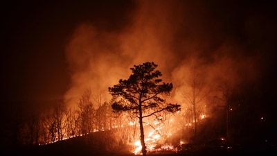 At least 24 people have been killed by the wildfires, with multiple blazes burning and causing "unprecedented damage," the acting president said. (AFP) At least 24 people have been killed by the wildfires, with multiple blazes burning and causing "unprecedented damage," the acting president said. (AFP)