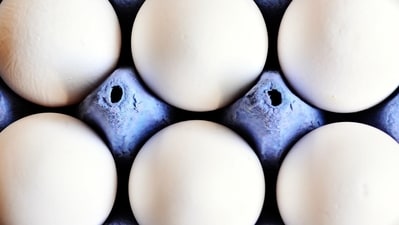 Federal officials seized 39 hatching eggs in Louisville, Kentucky. (Pixabay) Federal officials seized 39 hatching eggs in Louisville, Kentucky. (Pixabay)