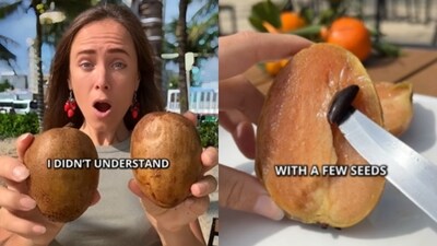 A US creator's take on chiku as an "exotic potato" left desis in disbelief. (Instagram/sweetycrafting) A US creator's take on chiku as an "exotic potato" left desis in disbelief. (Instagram/sweetycrafting)