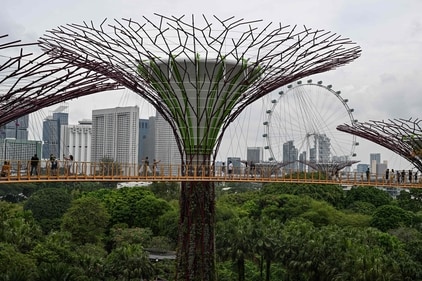 Tourists walk on the Supertree skywalk at Gardens by the Bay in Singapore. Singapore eases travel hassles, introduces QR code system in place of passports for border crossings. (Photo by Mohd RASFAN / AFP) Tourists walk on the Supertree skywalk at Gardens by the Bay in Singapore. Singapore eases travel hassles, introduces QR code system in place of passports for border crossings. (Photo by Mohd RASFAN / AFP)