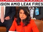 Tulsi Gabbard finally breaks silence on Yemen chat leak, US spy chief says...