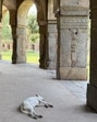 There is a place in Lodhi Garden that remains relatively empty, although it harbours a monument of considerable significance. (HT Photo)