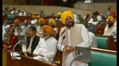 Chief minister Bhagwant Mann on Thursday slammed leader of Opposition Partap Singh Bajwa for making baseless allegations against Rajya Sabha member Balbir Singh Seechewal.