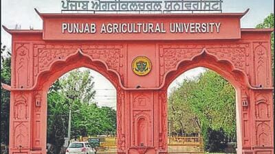 PAU vice-chancellor Gosal said that the  ₹ 40 crore grant will be strategically deployed to bolster key infrastructural components across the university. (HT Photo)