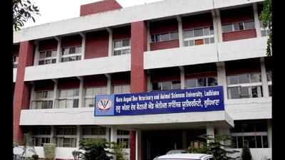 The grant is vested to the department of veterinary gynaecology and obstetrics of the vet varsity. (HT Photo)