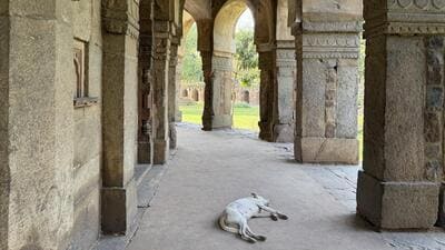 There is a place in Lodhi Garden that remains relatively empty, although it harbours a monument of considerable significance. (HT Photo) There is a place in Lodhi Garden that remains relatively empty, although it harbours a monument of considerable significance. (HT Photo)