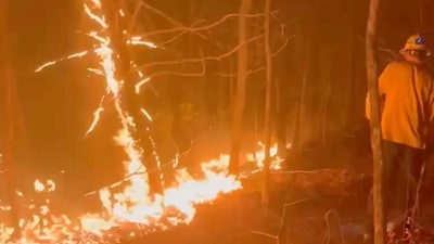 A firefighter works in the area as the Deep Woods Fire burns in Polk County, North Carolina. (Marion Fire Department/Handout via REUTERS)