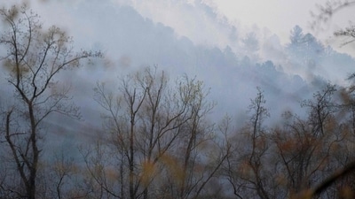 SALUDA, NORTH CAROLINA - MARCH 24: Smoke hangs in the air at the Black Cove wildfire on March 24, 2025 in Polk Couty near Saluda, North Carolina. Three large wildfires have burned more than 3,000 acres as evacuation orders were issued for parts of Polk County. (Photo by Sean Rayford / GETTY IMAGES NORTH AMERICA / Getty Images via AFP) (Getty Images via AFP) SALUDA, NORTH CAROLINA - MARCH 24: Smoke hangs in the air at the Black Cove wildfire on March 24, 2025 in Polk Couty near Saluda, North Carolina. Three large wildfires have burned more than 3,000 acres as evacuation orders were issued for parts of Polk County. (Photo by Sean Rayford / GETTY IMAGES NORTH AMERICA / Getty Images via AFP) (Getty Images via AFP)