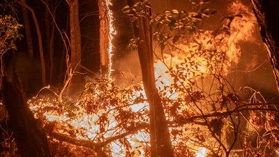 COLUMBUS, NORTH CAROLINA - MARCH 23: The Deepwoods Fire is seen on March 23, 2025 in Columbus, North Carolina. According to authorities evacuation orders were issued Sunday for parts of Polk County, North Carolina, where three large wildfires have burned more than 3,000 acres combined, with two of the blazes remaining out of control. (Photo by Allison Joyce / GETTY IMAGES NORTH AMERICA / Getty Images via AFP) (Getty Images via AFP) COLUMBUS, NORTH CAROLINA - MARCH 23: The Deepwoods Fire is seen on March 23, 2025 in Columbus, North Carolina. According to authorities evacuation orders were issued Sunday for parts of Polk County, North Carolina, where three large wildfires have burned more than 3,000 acres combined, with two of the blazes remaining out of control. (Photo by Allison Joyce / GETTY IMAGES NORTH AMERICA / Getty Images via AFP) (Getty Images via AFP)
