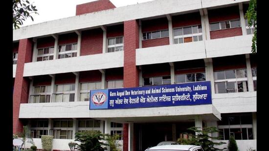 The grant is vested to the department of veterinary gynaecology and obstetrics of the vet varsity. (HT Photo)