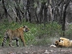 The data, released by the Forest Department on Thursday, was shared by Karnataka’s Minister for Forests, Environment, and Ecology, Eshwar B. Khandre.