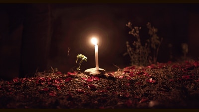 A still from Pallavi Paul’s How Love Moves. The film is showing at Mumbai’s Project 88 gallery, until April 26. A still from Pallavi Paul’s How Love Moves. The film is showing at Mumbai’s Project 88 gallery, until April 26.