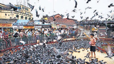 Kabutarkhana Kabutarkhana