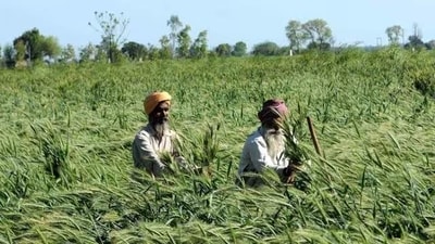 Farmer (HT Photo)