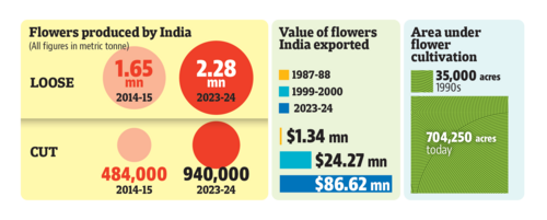 (Sources: Economic Survey; Department of Agriculture and Farmers Welfare, Government of India; Agricultural and Processed Food Products Export Development Authority; Directorate of Floricultural Research at the Indian Council of Agricultural Research) (Sources: Economic Survey; Department of Agriculture and Farmers Welfare, Government of India; Agricultural and Processed Food Products Export Development Authority; Directorate of Floricultural Research at the Indian Council of Agricultural Research)
