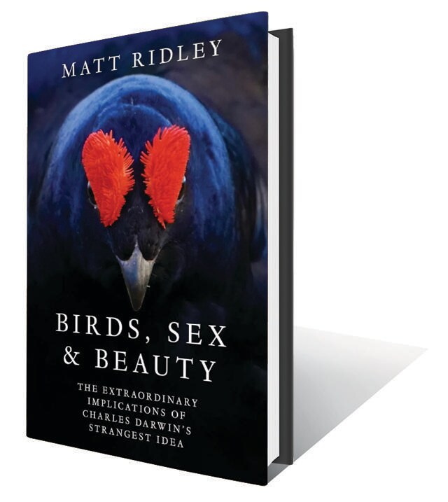 340pp, ₹599; HarperCollins (A blend of nature writing and an exploration of evolutionary theory that shows how mate choice has shaped the natural world, including humans) 340pp, ₹599; HarperCollins (A blend of nature writing and an exploration of evolutionary theory that shows how mate choice has shaped the natural world, including humans)