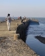 21-year-old man drowns near Juhu Koliwada jetty 21-year-old man drowns near Juhu Koliwada jetty