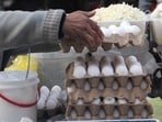 Madhya Pradesh egg seller receives IT notice over  <span class='webrupee'>₹</span>50 crore transactions linked to fraudulent company. (Representative image)