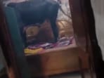 A stray cow and bull barged into a Faridabad home.