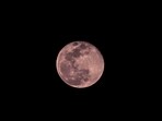 The Super Pink Moon, peaking on April 12, 2025, promises a stunning sight for skywatchers. The Super Pink Moon, peaking on April 12, 2025, promises a stunning sight for skywatchers.