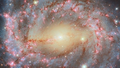 This image features the spiral galaxy NGC 5643, located about 40 million light-years away in the constellation Lupus, the Wolf (NASA) This image features the spiral galaxy NGC 5643, located about 40 million light-years away in the constellation Lupus, the Wolf (NASA)