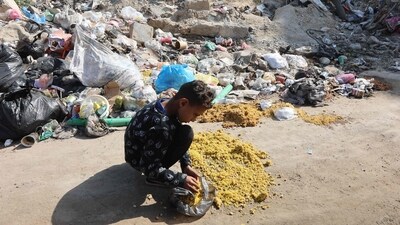 A Palestinian child collects food dropped on a street in Gaza City during Eid (AFP) A Palestinian child collects food dropped on a street in Gaza City during Eid (AFP)