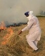 A farmer burns straw stubble (AFP File) A farmer burns straw stubble (AFP File)