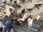 Happy Cat Sanctuary owner Chris Arsenault with his cats Happy Cat Sanctuary owner Chris Arsenault with his cats