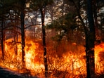 The Silver Fire erupted on Sunday near Owens Valley, California and burned through nearly 2 square miles (5 square km) of dry brush by Monday