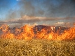 Silver Fire has spread to 1,000 acres near Bishop in California. 