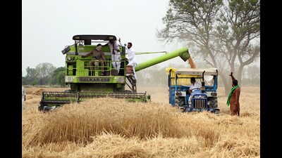 Farmers harvest wheat crop with a combine in a village near Bathinda (HT File) Farmers harvest wheat crop with a combine in a village near Bathinda (HT File)