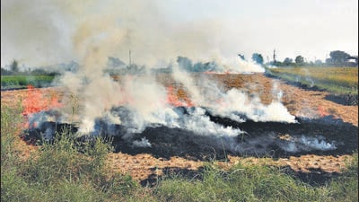 Paddy stubble being burnt at an agricultural field near Amritsar, Punjab, in September 2024. (HT archive) Paddy stubble being burnt at an agricultural field near Amritsar, Punjab, in September 2024. (HT archive)