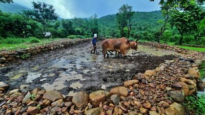 The number of applications under the scheme had gone up to 1.71 crore, against 1.70 registered farmers. (HT Photo) The number of applications under the scheme had gone up to 1.71 crore, against 1.70 registered farmers. (HT Photo)