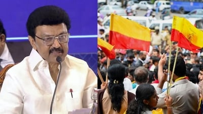 While some social media users supported his stand against Hindi imposition and delimitation, many Kannadigas took issue with his characterization of them as "Dravidians." While some social media users supported his stand against Hindi imposition and delimitation, many Kannadigas took issue with his characterization of them as "Dravidians."