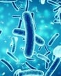 The engineered bacteria became highly effective chemical producers, incorporating amino acid building blocks into plastic polymer chains. (Representational image) The engineered bacteria became highly effective chemical producers, incorporating amino acid building blocks into plastic polymer chains. (Representational image)