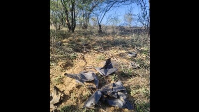 The forest department in Rewari district has reportedly left behind plastic bags after monsoon plantation drives in Kund village area, posing severe risks to wildlife and environmental health. (HT PHOTO) The forest department in Rewari district has reportedly left behind plastic bags after monsoon plantation drives in Kund village area, posing severe risks to wildlife and environmental health. (HT PHOTO)