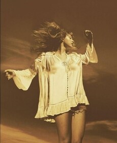 Fearless era: The country queen (Pinterest) Fearless era: The country queen (Pinterest)