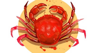 Cancer Horoscope Tomorrow, April 03, 2025 Cancer Horoscope Tomorrow, April 03, 2025