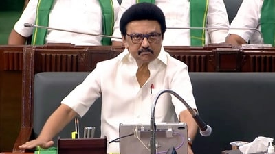 Tamil Nadu Chief Minister M K Stalin urged the Prime Minister to act against the bill. (PTI) Tamil Nadu Chief Minister M K Stalin urged the Prime Minister to act against the bill. (PTI)