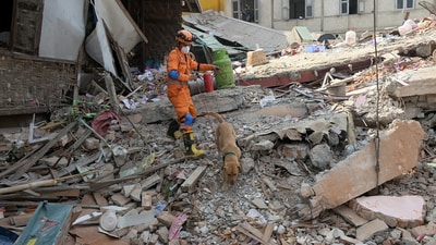 Myanmar earthquake: National Disaster Response Force (NDRF) personnel from India carry out rescue operations as part of Operation Brahma. ( NDRF - X) Myanmar earthquake: National Disaster Response Force (NDRF) personnel from India carry out rescue operations as part of Operation Brahma. ( NDRF - X)