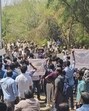 Students and teachers associations have opposed plans to develop the 400-acre land parcel near the university. (PTI) Students and teachers associations have opposed plans to develop the 400-acre land parcel near the university. (PTI)