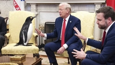 McDonald Island's Penguins: As Trump administration's announcement sparked criticism and outrage from Australia, several netizens took to X to share videos, memes and photos, showing that fumed penguins who are either leaving the island due to fear over Trump's tariffs.