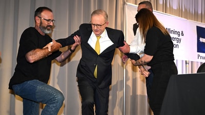 Australian Prime Minister Anthony Albanese is assisted after falling off a stage on Day 6 of the 2025 federal election campaign, in the Hunter Valley, Australia, (REUTERS)